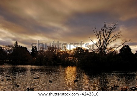 dusk at the duckpond