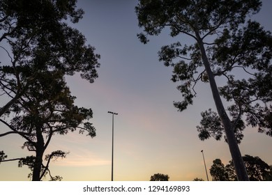 Dusk At A Local Football Field, The Lighting Post A Silhouette In The Sky