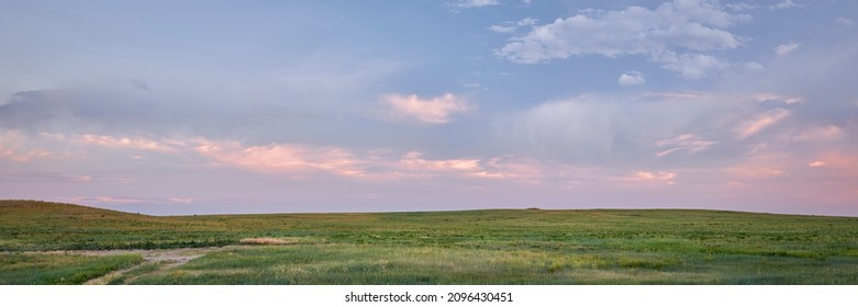 dusk over green prairie - Pawnee National Grassland in Colorado, late spring or early summer scenery, panoramic web banner - Shutterstock ID 2096430451