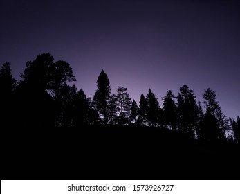 Dusk Treeline Silhouette On A Hill