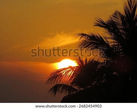 dusky view of the setting sun during sunset in the evening