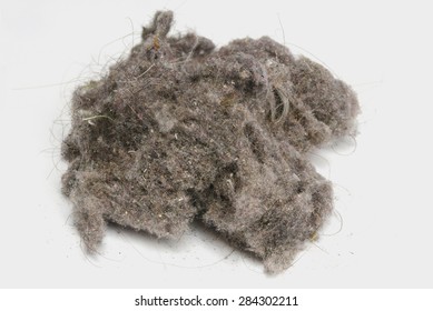 House Dust High Res Stock Images Shutterstock