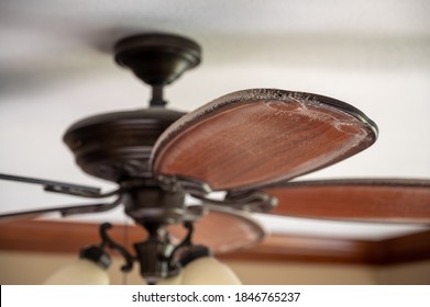 Dust Buildup On Blade Of Ceiling Fan