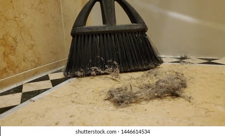 Dust Bunnies And Broom On The Floor.