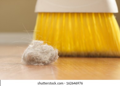 Dust Bunny And A Broom