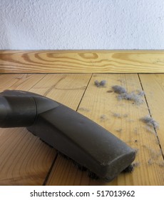 Dust Dirt And Crumbles On The Wood Floor Under The Bed