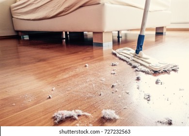 Dust And Dirt On A Wooden Floor In Bedroom.