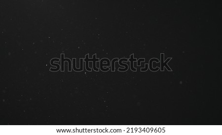 Dust particles float in neutral light on black background, wide photo