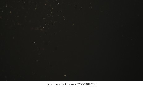 Dust Particles Float In Sunlight On Black Background, Wide Photo