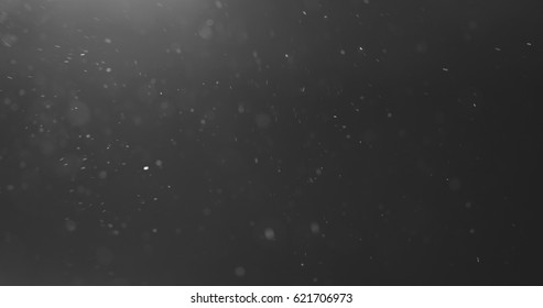 Staubpartikel fliegen in der Luft auf schwarzem Hintergrund mit hellem Leck, 4K-Foto