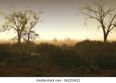 Dust Storm Australia On Farm, Rural Dust Storm