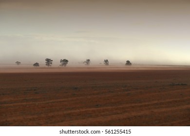 Dust Storm Australia On Farm, Rural Dust Storm