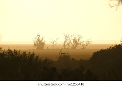 Dust Storm Australia On Farm, Rural Dust Storm