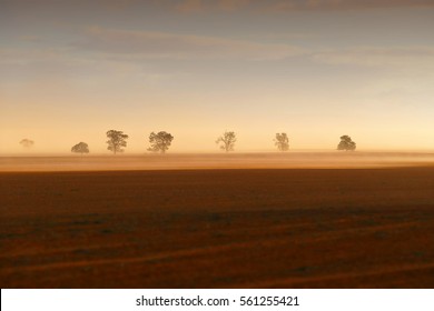 Dust Storm Australia On Farm, Rural Dust Storm