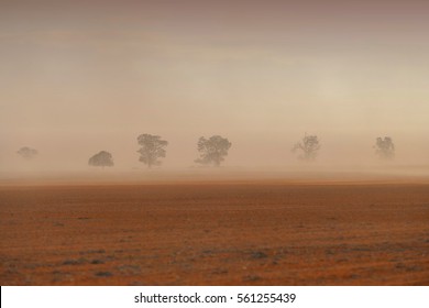 Dust Storm Australia On Farm, Rural Dust Storm