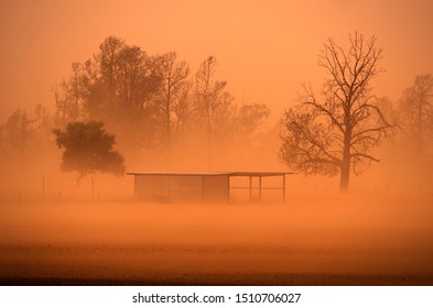 Dust storm driven by strong wind in drought striken Central West New South Wales, Australia. Trees and shed obscured by wind blown dust from bare paddocks.