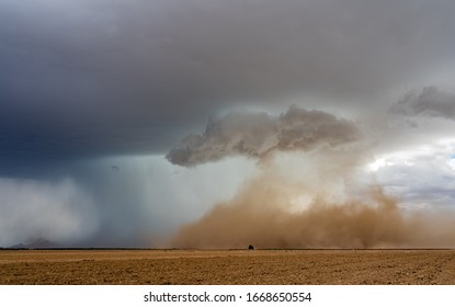 Dust Storm Forming Over Farm Field In Arizona