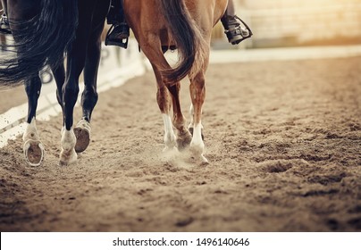 Dust under the hooves of a horses. Legs of two sports horses galloping around the arena.