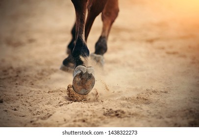 馬蹄 の画像 写真素材 ベクター画像 Shutterstock