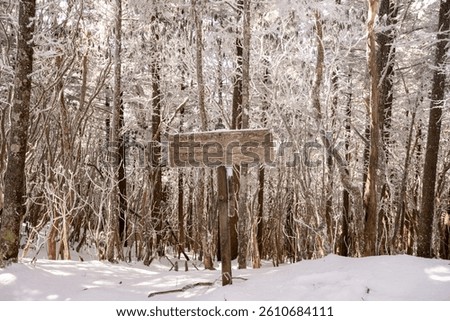 Dusting of Snow Settles into Appalachian Trail Sign in the Smokies