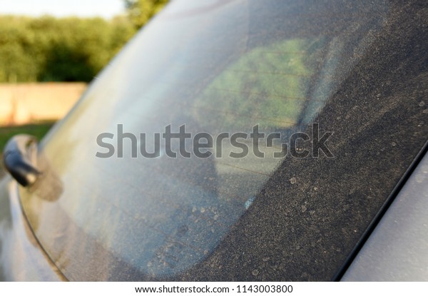 Dusty car with dirty rear\
windshield