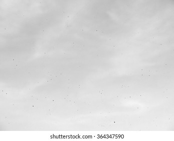 Dusty dirty glass composition as a background texture - Shutterstock ID 364347590