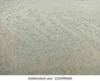 Dusty Dirty White Car Texture