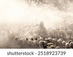 Dusty journey of herds and a shepherd in Bitlis Turkey. Magnificent photographs taken with the dust cloud that forms when flocks of sheep pass through dusty roads to their pasture places