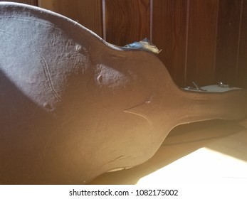 Dusty Old Guitar Case In The Sunshine