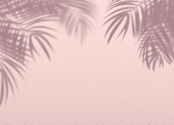 Dusty Pink Soft Cement Texture Wall Leaf Plant Shadow Background. Summer Tropical Travel Beach With Minimal Concept. Flat Lay Pastel Color Palm Nature .