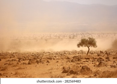 Dusty plains during a severe drought, Kenya 