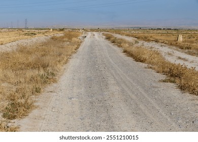 A dusty road meanders through a dry field, flanked by tall grass and sparse vegetation under a clear blue sky. - Powered by Shutterstock