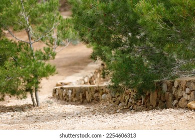 dusty and rocky but beautiful hiking trails through the forest in Mallorca - Shutterstock ID 2254606313