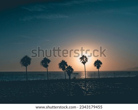 dusty sky with palm sihouettes on beach at sunset 