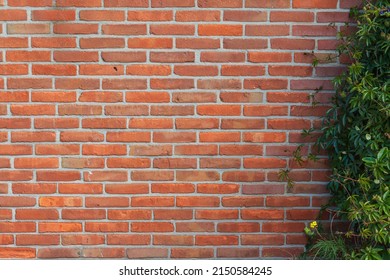 Dutch Brick Wall Outside Pattern Tile