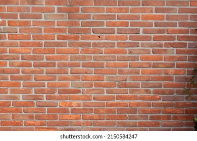 Dutch Brick Wall Outside Pattern Tile