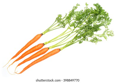 Dutch Carrot Isolated On White Background