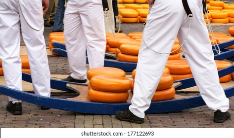 Dutch Cheese Market - Alkmaar