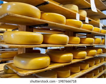 Dutch Cheese Warehouse In Holland