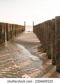 Dutch Coastline In Walcheren Holland 