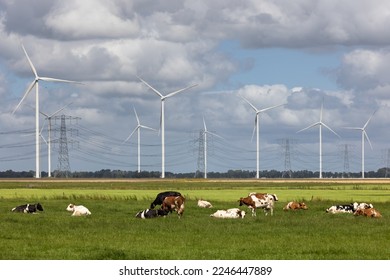 Dutch countryside in Groningen with cows, wind turbines and power pylons - Powered by Shutterstock
