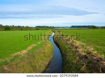 Dutch countryside landscape, Typical polder and water land, Green meadow on the blue sky. Small canal or ditch on the field, Friesland Netherlands