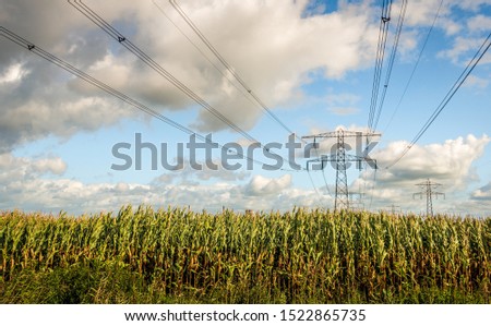 Similar – Image, Stock Photo maize field Landscape Sky