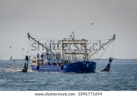 Dutch fishingboat fishing for shrimps in the Waddensea