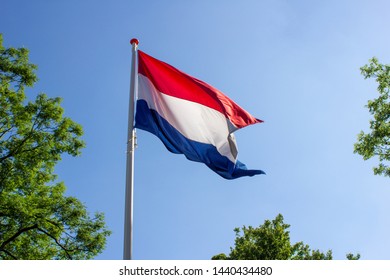 Dutch flag waving in the wind against blue sky and treebranches and bushes horizontal
