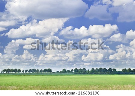 Similar – Courage to leave gaps. Missing trees in an avenue, landscape