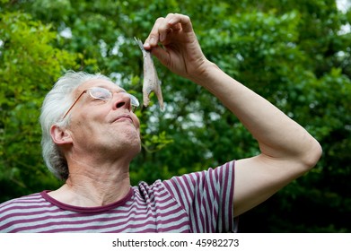 Dutch Man Is Eating Typical Raw Herring