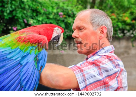 Dutch man holding red macaw on the arm outdoors