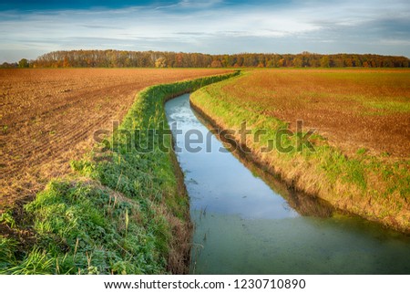 Dutch plowed fields intersected by a meandering ditch. The colors have been artificially changed by means of tonemapping.