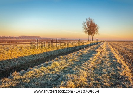 Dutch polder landscape in the winter season. The photo was taken early in the morning near the village of Hank, North Brabant.